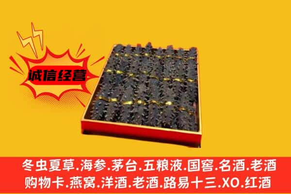 上海市闸北回收海参